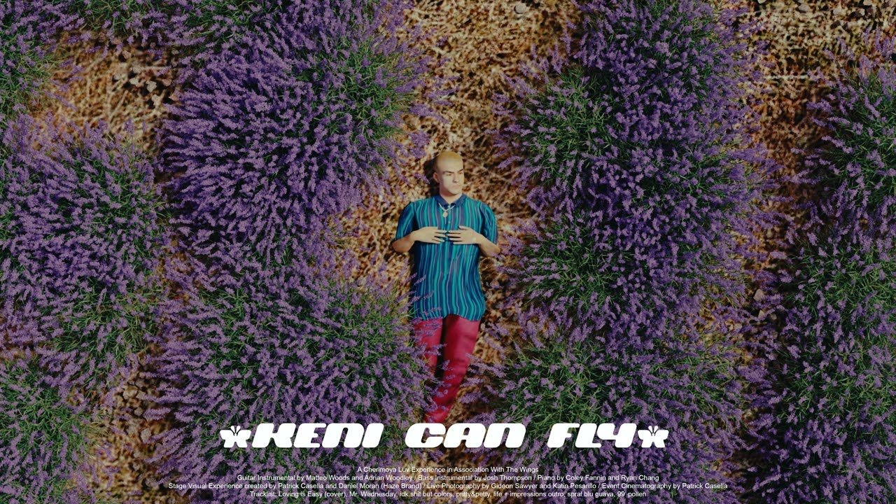 Body Scan Concert Visuals