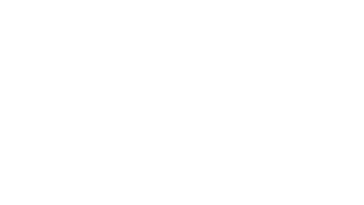 IMSA logo