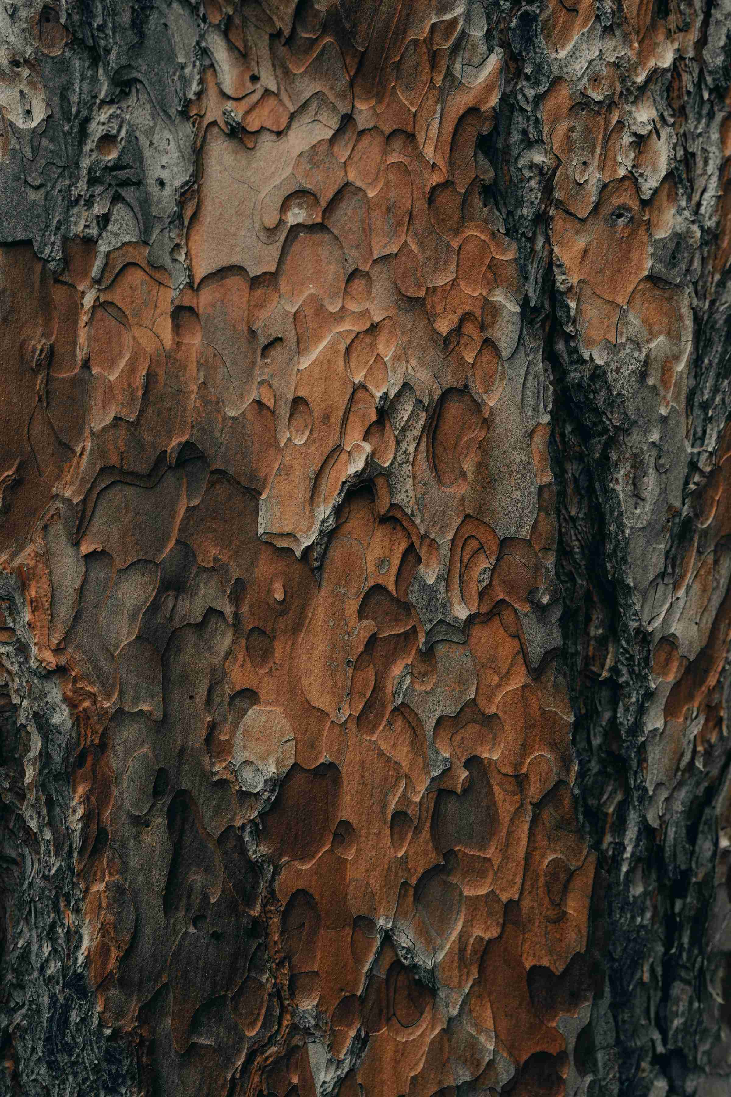 clay-banks-VppPygAZKU0-unsplash.jpg